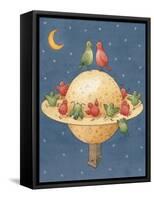 Planet, 2003-Kestutis Kasparavicius-Framed Stretched Canvas