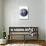 Planet Earth Eastern Hemisphere on White-null-Stretched Canvas displayed on a wall
