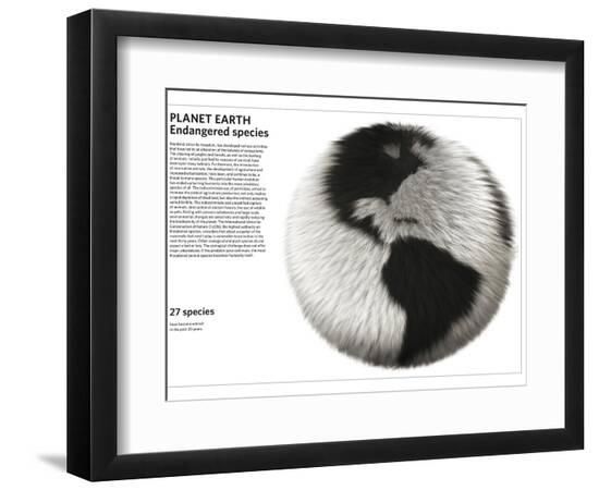 Photographic Print, , large