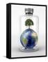 Planet Earth with a Tree On Top, inside a Glass Bottle-Stocktrek Images-Framed Stretched Canvas