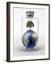 Planet Earth with a Tree On Top, inside a Glass Bottle-Stocktrek Images-Framed Photographic Print