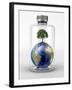 Planet Earth with a Tree On Top, inside a Glass Bottle-Stocktrek Images-Framed Photographic Print