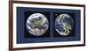 Planet Earth-Contemporary Photography-Framed Giclee Print