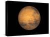 Planet Mars-Stocktrek Images-Stretched Canvas