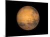 Planet Mars-Stocktrek Images-Mounted Photographic Print