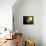 Planet Mercury, Artwork-null-Premium Photographic Print displayed on a wall