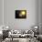 Planet Mercury, Artwork-null-Photographic Print displayed on a wall