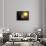 Planet Mercury, Artwork-null-Mounted Photographic Print displayed on a wall