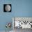 Planet Mercury-Stocktrek Images-Stretched Canvas displayed on a wall