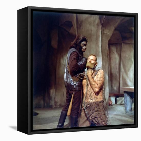 PLANET OF THE APES, 1968 directed by FRANKLYN J. SCHAFFNER Charlton Heston (photo)-null-Framed Stretched Canvas