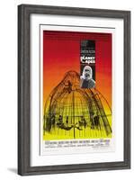 Planet of the Apes, 1968-null-Framed Giclee Print