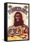 Planet of the Apes, Czchecoslovakian Movie Poster, 1968-null-Framed Stretched Canvas