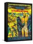 Planet of the Apes, French Movie Poster, 1968-null-Framed Stretched Canvas