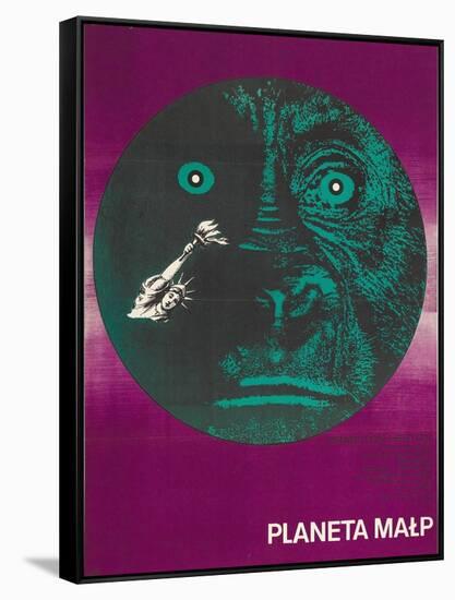 Planet of the Apes, Polish Movie Poster, 1968-null-Framed Stretched Canvas