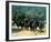 Planet of the Apes-null-Framed Photo