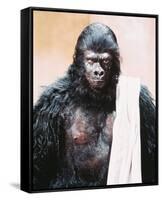 Planet of the Apes-null-Framed Stretched Canvas