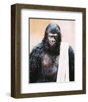 Planet of the Apes-null-Framed Photo