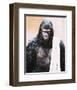 Planet of the Apes-null-Framed Photo