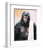 Planet of the Apes-null-Framed Photo