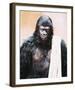 Planet of the Apes-null-Framed Photo