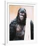 Planet of the Apes-null-Framed Photo