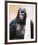 Planet of the Apes-null-Framed Photo