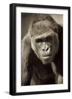 Planet of the Apes-Susann Parker-Framed Photographic Print