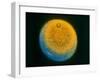 Planet Uranus, Taken by Voyager 2-null-Framed Premium Photographic Print