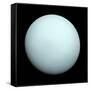 Planet Uranus-null-Framed Stretched Canvas