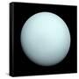 Planet Uranus-null-Framed Stretched Canvas