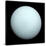 Planet Uranus-null-Stretched Canvas