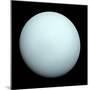 Planet Uranus-null-Mounted Photographic Print