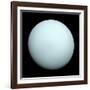 Planet Uranus-null-Framed Photographic Print