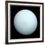 Planet Uranus-null-Framed Photographic Print