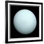 Planet Uranus-null-Framed Photographic Print