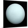 Planet Uranus-null-Mounted Photographic Print