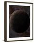 Planet X-null-Framed Photographic Print