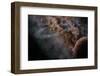 Planet X-null-Framed Photographic Print