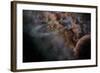 Planet X-null-Framed Photographic Print