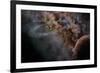 Planet X-null-Framed Photographic Print