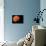 Planet-null-Photographic Print displayed on a wall