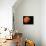 Planet-null-Photographic Print displayed on a wall