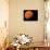 Planet-null-Photographic Print displayed on a wall