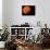 Planet-null-Photographic Print displayed on a wall