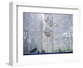 Planetarium, Museum of Natural History, NYC, NY-Barry Winiker-Framed Photographic Print