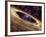 Planetary Disc Around a Pulsar, Artwork-Jpl-caltech-Framed Photographic Print