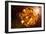 Planetary Formation, Artwork-Take 27 LTD-Framed Photographic Print