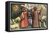 Planetary Systems-Boethius-Framed Stretched Canvas