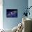 Planets and Asteroids Circle Around Not One, But Two Suns-Stocktrek Images-Photographic Print displayed on a wall