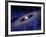 Planets and Asteroids Circle Around Not One, But Two Suns-Stocktrek Images-Framed Photographic Print